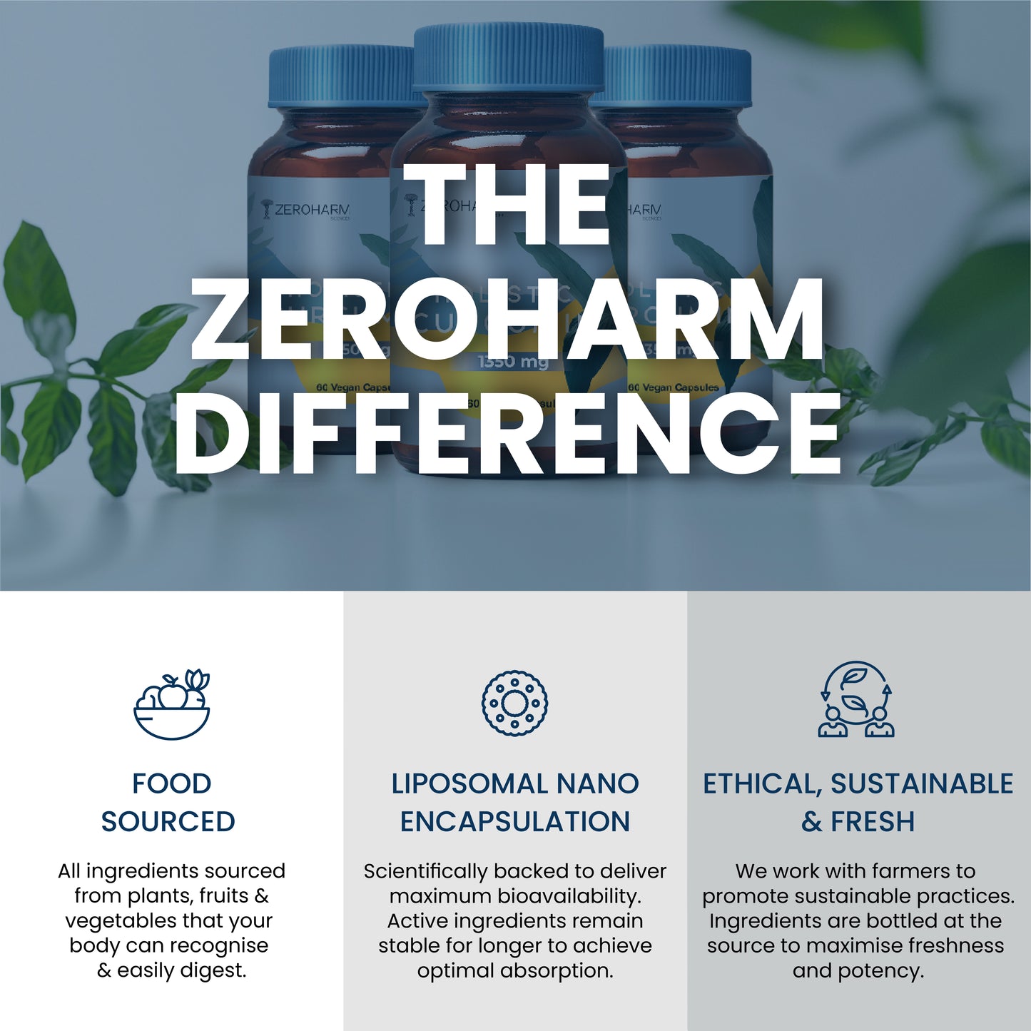 Curcumin Capsules